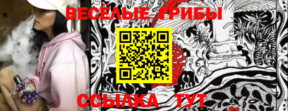 Псилоцибиновые грибы Cubensis  Вход с VPN  Чебоксары 