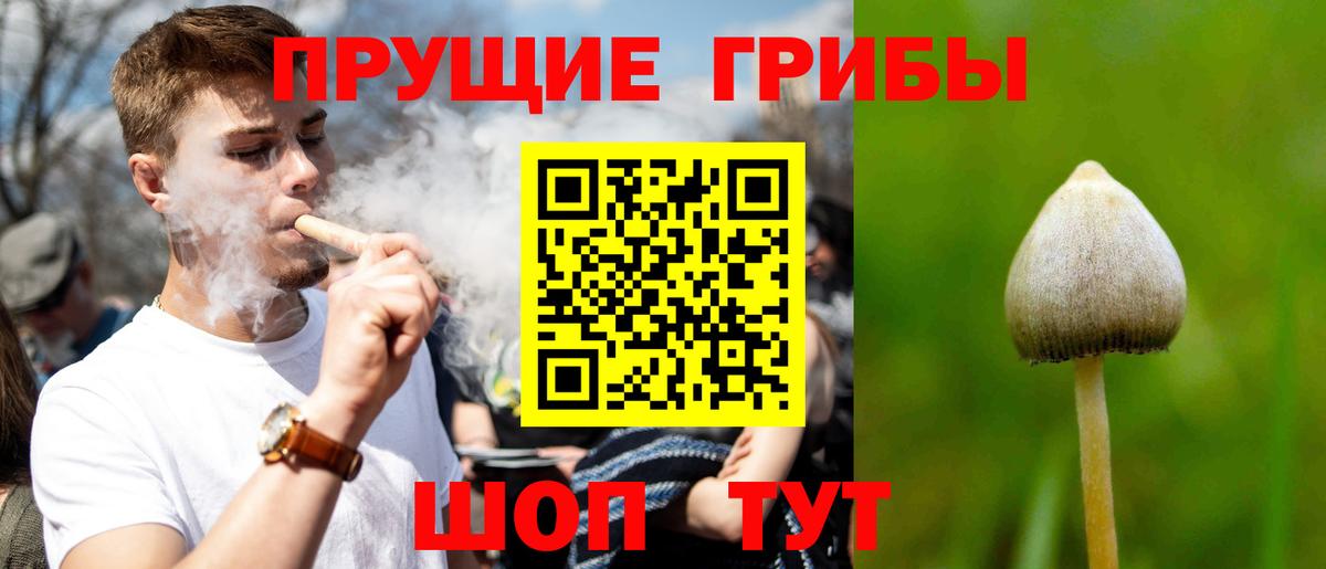 Псилоцибиновые грибы ЛСД Чебоксары